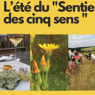 Le sentier des 5 sens au Domaine Les Hauts de Riquets balade gourmande