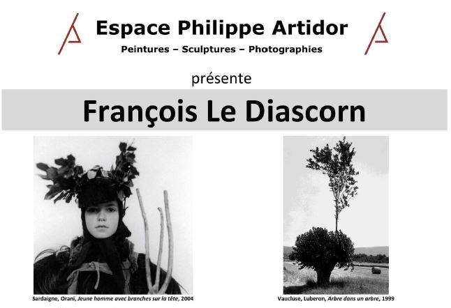 Exposition photographique de François Le Diasc ...