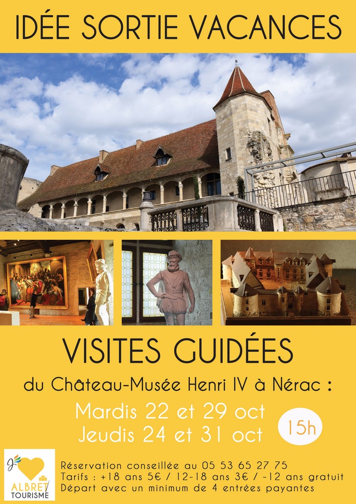 Visites guidées du Château-Musée Henri IV pour ...