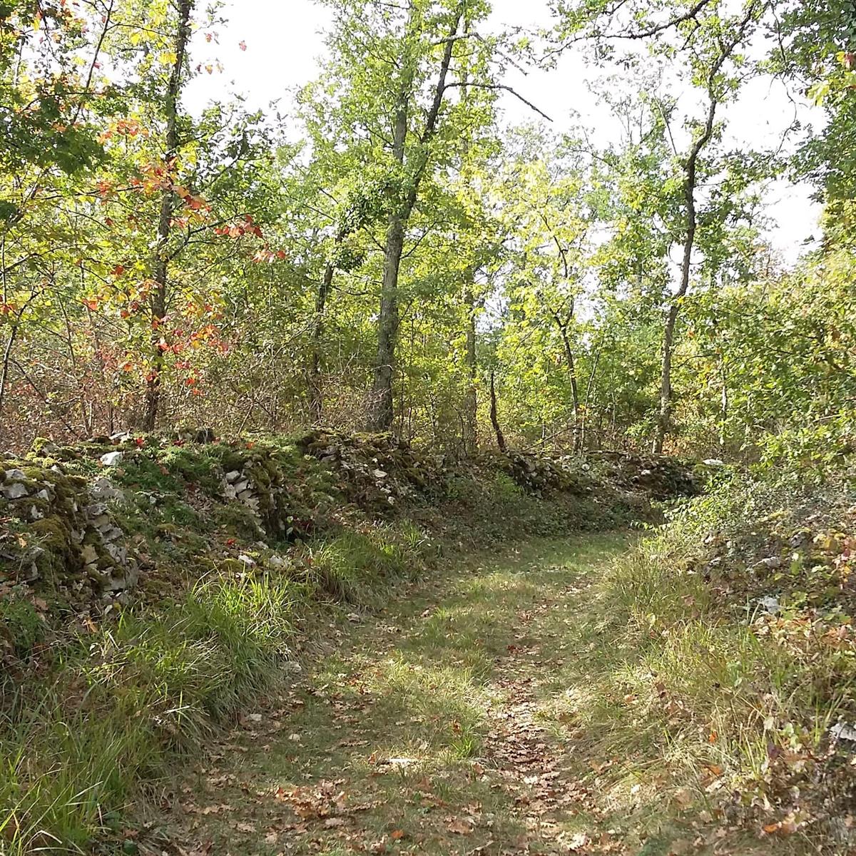 Rando active - Hautefage la Tour, Saint-Sylves ...