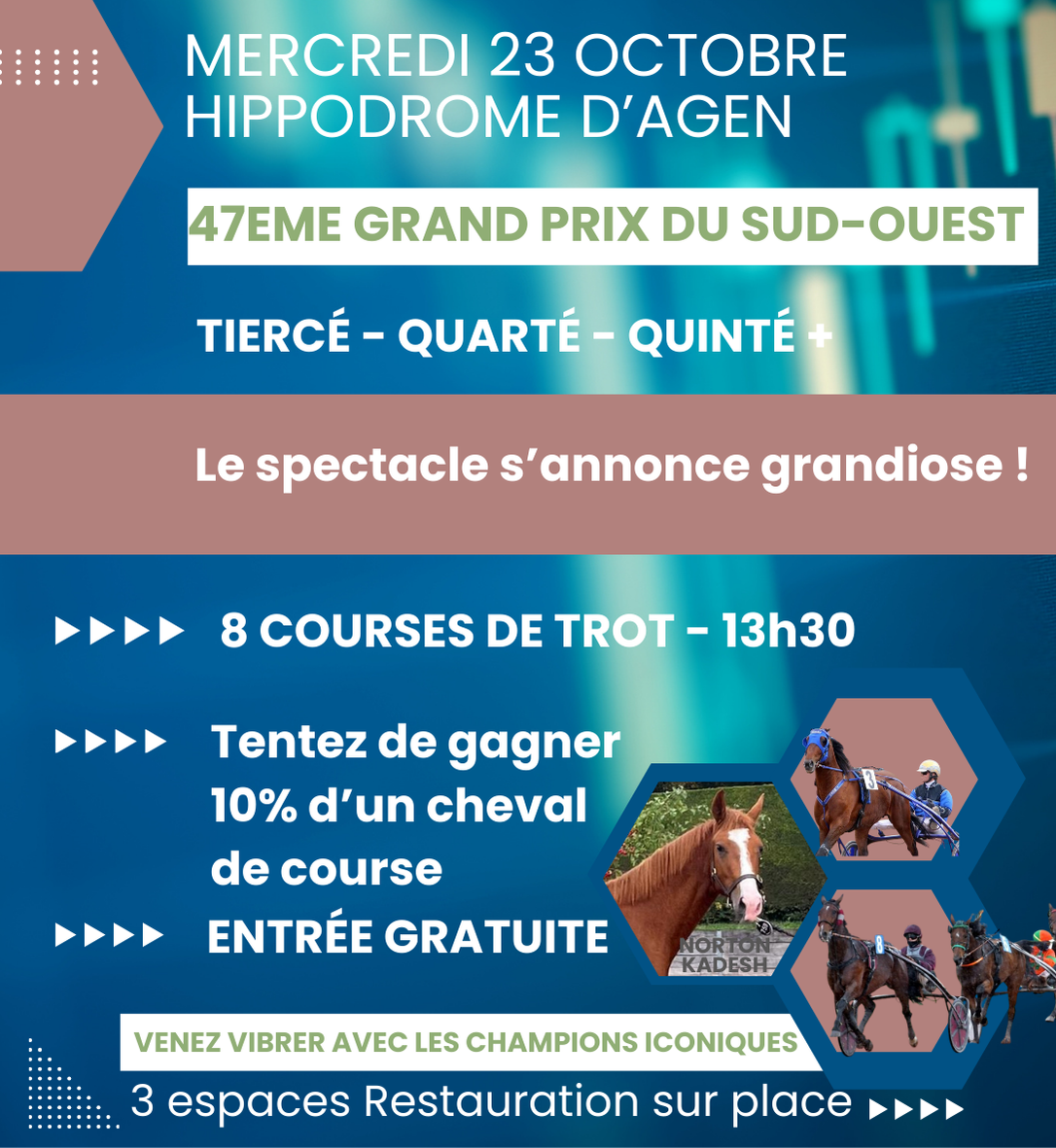 Courses hippiques