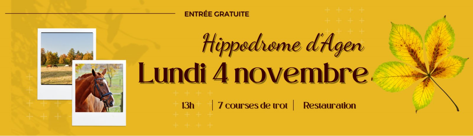 Courses hippiques