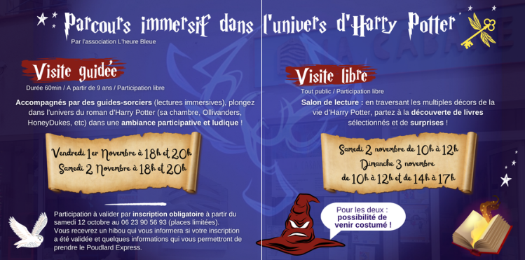 Parcours immersif dans l'univers d'Harry Potte ...