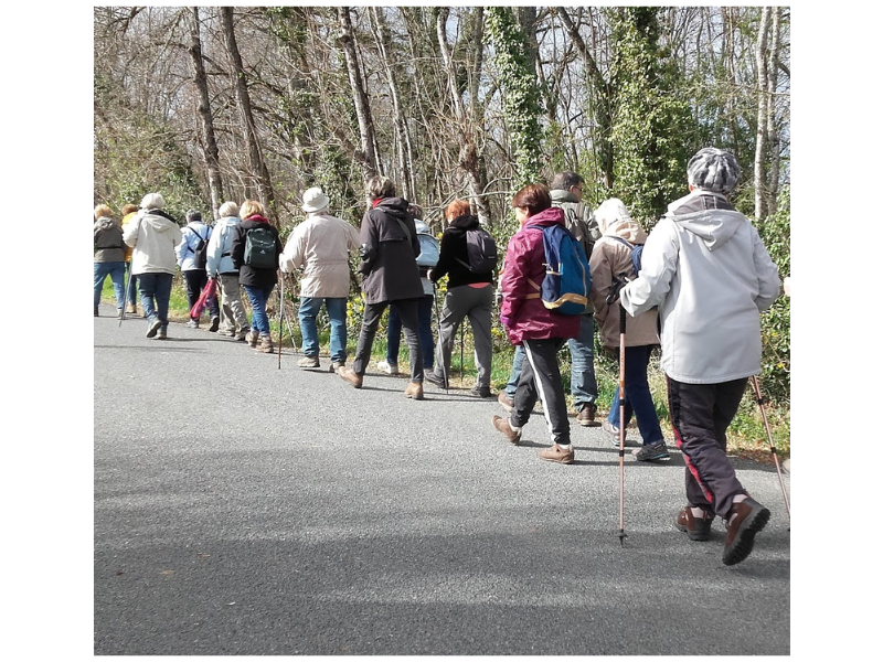 Rando Classique - Ste Gemme de Martaillac