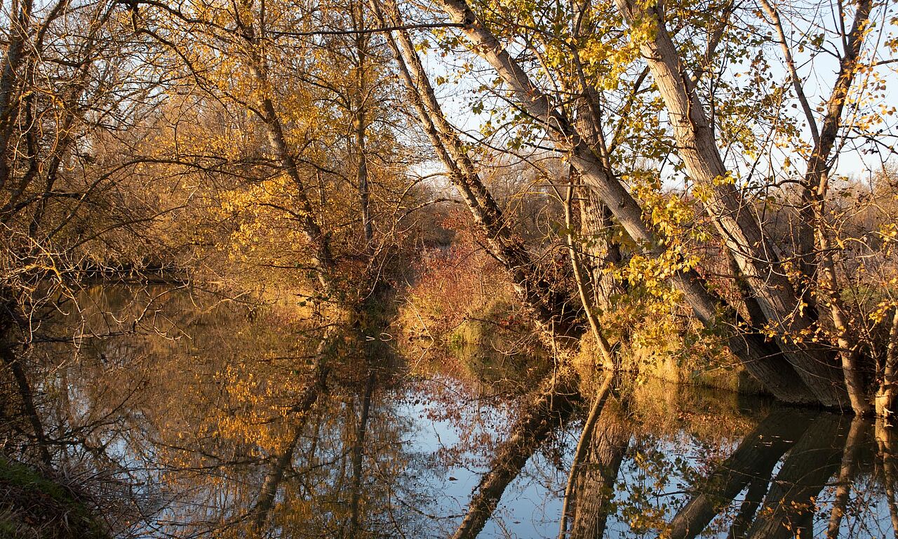 Exposition : Quel avenir pour l'eau de nos riv ...