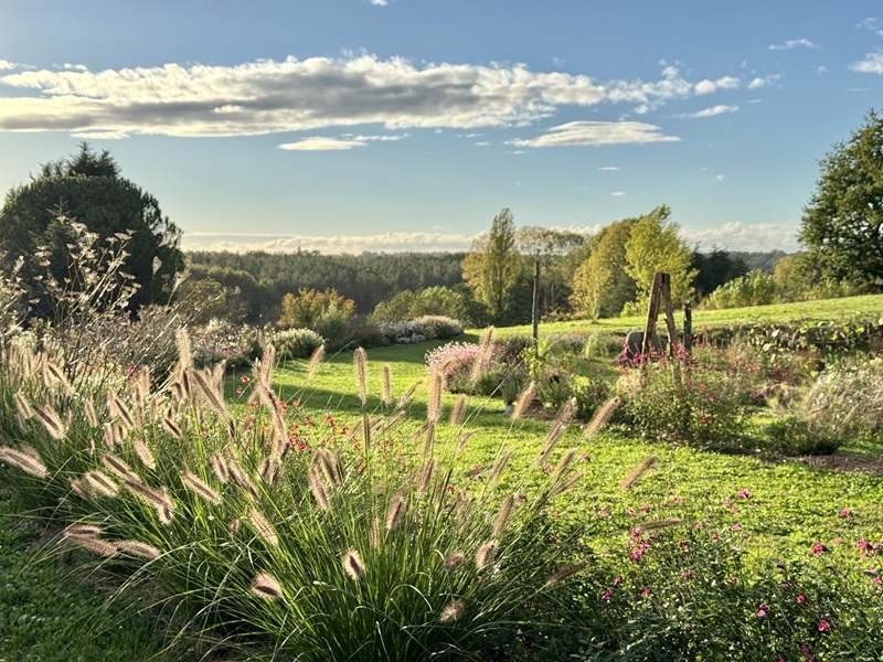 Atelier jardinage : Créez un massif estival éc ...