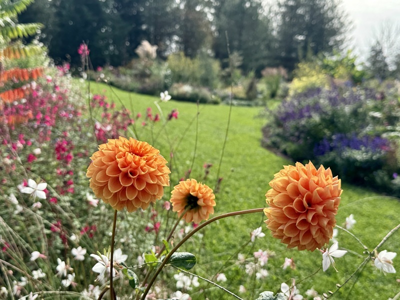 Atelier jardinage : Création de magnifiques po ...