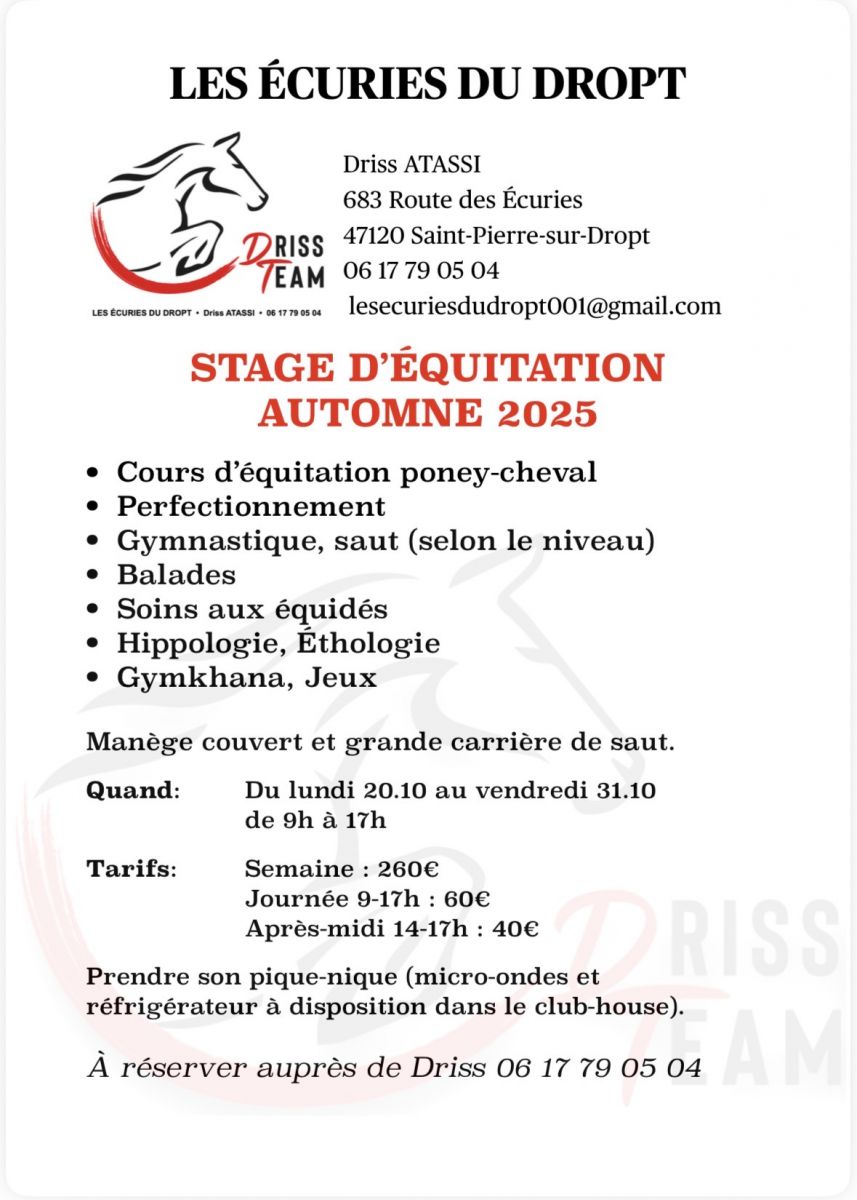 Stage d’équitation automne