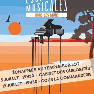 Escapade musicale : duo violoncelle et harpe