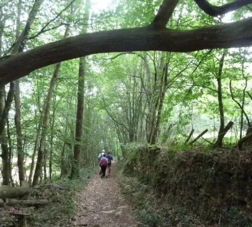 Randonnée douce