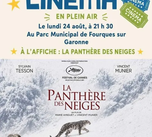 Cinéma en plein air "La panthère des Neiges"